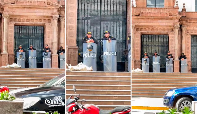 El sol le caía directamente al perrito, quien era feliz descansando frente a los policías. Foto: composición LR/capturas de TikTok/@Jean.HuilcaPaz