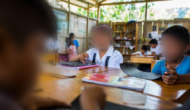 Estas son las áreas y cursos obligatorios de la malla curricular de primaria. Foto: Ojo Público.