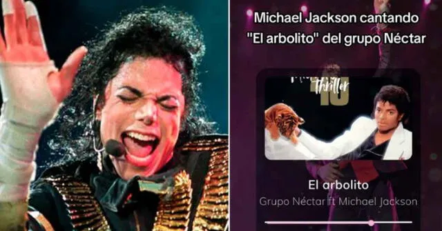 Video de Michael Jackson obtuvo miles de reacciones en TikTok. Foto: composición LR/ Andina/ TikTok /@jorgidice