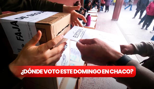 Este domingo 18 de junio son las elecciones primarias en el Chaco para elegir a los precandidatos al Gobierno provincial. Foto: composición LR/Telám