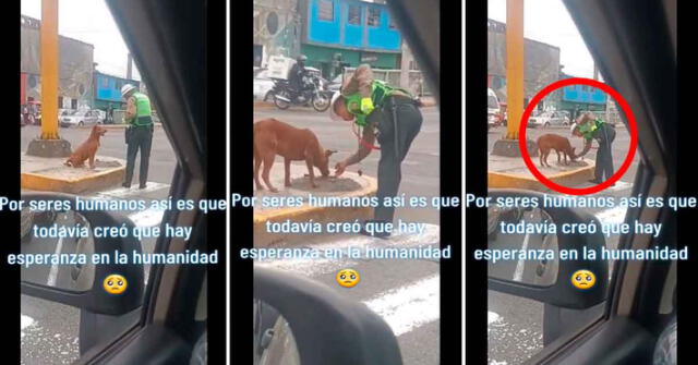 Video de policía fue visto y comentado por miles de cibernautas. Foto: composición LR/TikTok/@deividmarquez