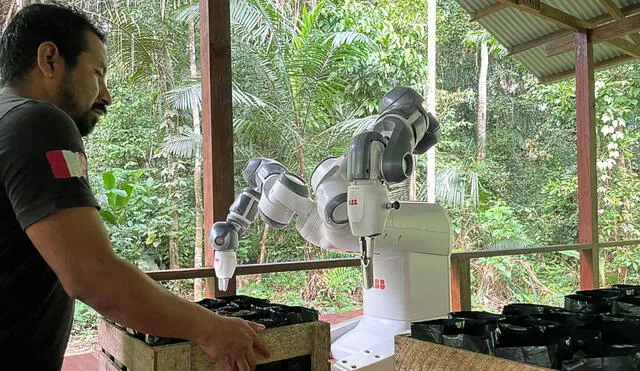 Este proyecto piloto demuestra el potencial de la robótica en la lucha contra la deforestación. Foto: La República