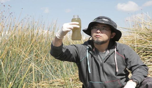 Marino Morikawa es un experto en descontaminación y recuperación de humedales y lagos, con principios de biotecnología y nanotecnología. Foto: TTT Grupo Morikawa