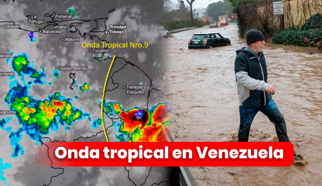 Onda Tropical 9 en Venezuela HOY: revisa el más reciente pronóstico del Inameh. Foto: composición LR/Inameh/Venezuela News.