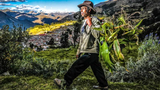 El campesino al tener una labor importante en el Perú hace que su día sea motivo de celebración. Foto: Andina