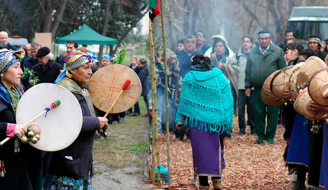 We Tripantu es una festividad ancestral de la comunidad mapuche. Foto: Composición LR/LM Neuquen/ Rove.me