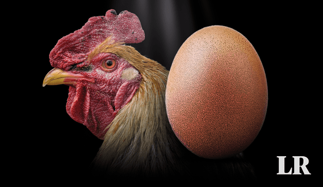 A lo largo de la historia ha habido diferentes respuestas a la pregunta sobre el huevo y la gallina. Foto: composición LR