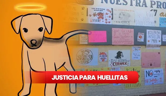 Estudiantes de Puebla piden justicia para Huellitas, quien fue torturado y asesinado por una joven que lo había adoptado. Foto: Facebook/Composición LR