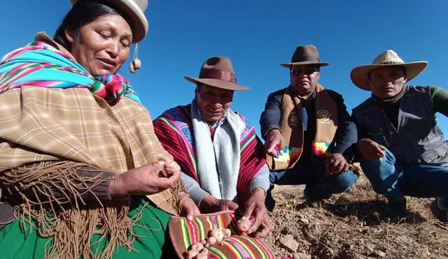 Agricultores en Puno producen sus alimentos con lluvia. Foto: Liubomir Fernández/La República