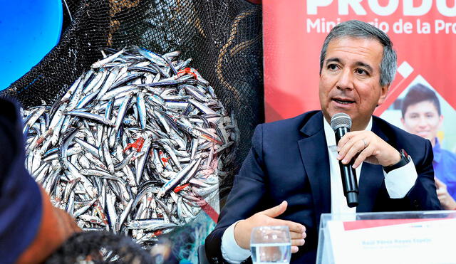 Titular de Produce, Raúl Pérez-Reyes, ratificó que no habrá primera temporada de pesca de anchoveta. Foto: composición LR