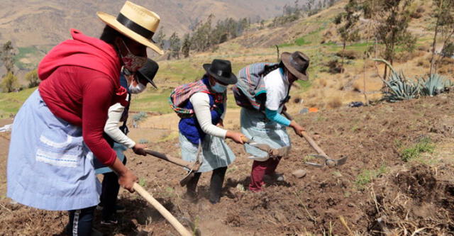 Más del 67% del emprendedurismo está encabezado por mujeres. Foto: Gob.pe