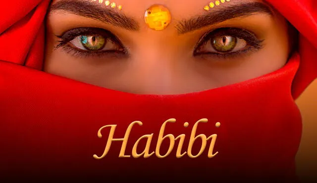 "Habibi" es una palabra de amor que ha comenzado a popularizarse a través de todo el mundo. Foto: composición LR/Spotify