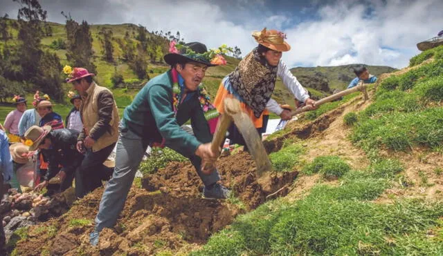 El 24 de junio es una fecha que busca reconocer la función de los trabajadores del campo. Foto: Centro Peruano de Estudios Sociales