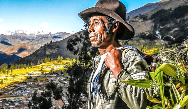 Unas palabras sentidas te ayudarán a poder afirmar tu reconocimiento al trabajo de los campesinos del Perú. Foto: Andina
