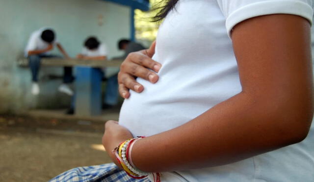 Unicef ratifica llamado a Perú para que despenalice aborto por violación. Foto: Plan International Perú