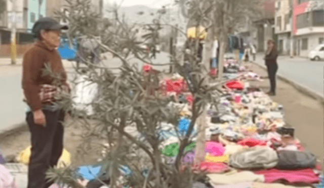 Ambulantes se adueñan de áreas verdes para vender sus productos en SJL. Foto: captura de Panorama