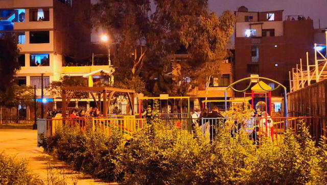 Vecinos denuncian que no es la primera vez que suceden accidentes en los juegos del parque de Ate. Foto:  Bárbara Mamani / URPI-LR