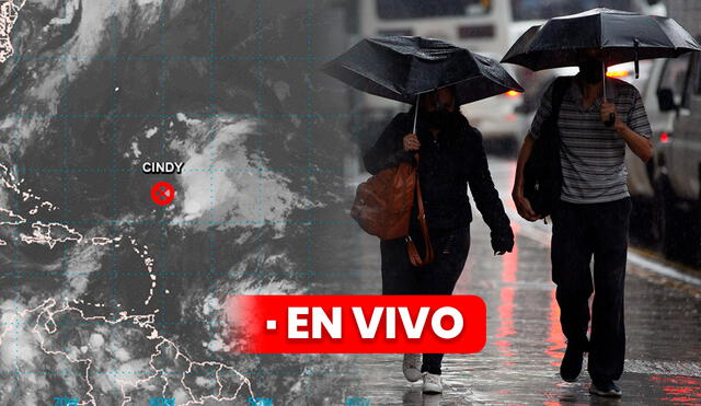 Revisa AQUÍ los últimos reportes sobre la tormenta Cindy. Foto: composición LR/NHC/Crónica Uno