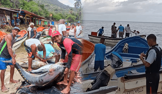 Hasta la fecha continúa la búsqueda de los pescadores desaparecidos de Choroní. Foto: composición LR/ Crónica Uno/ Radio Fe y Alegría Noticias