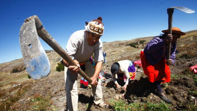La agricultura en los últimos años ha enfrentado fuertes lluvias y sequías. Foto: Andina