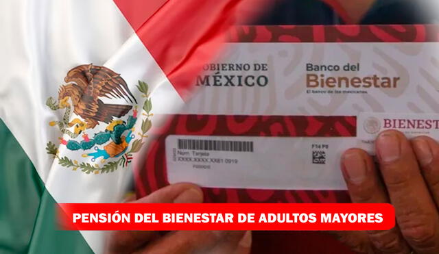 El registro para recibir la Pensión Bienestar para Adultos Mayores en México comenzó el 19 de junio. Foto: composición LR/Freepik/Gobierno de México