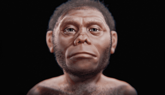 Representación artística del Homo floresiensis, también conocido como el Hobbit. Foto: Cícero Moraes