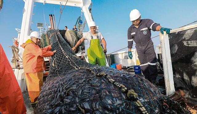 Los pescadores solicitan la reanudación de sus labores para no afectar la economía. Foto: Andina