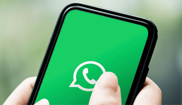 WhatsApp ha introducido una nueva opción para sus consumidores. Foto: WhatsApp