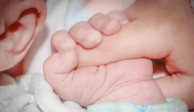 Placenta artificial puede salvar la vida de miles de bebes prematuros. Foto: Pixabay