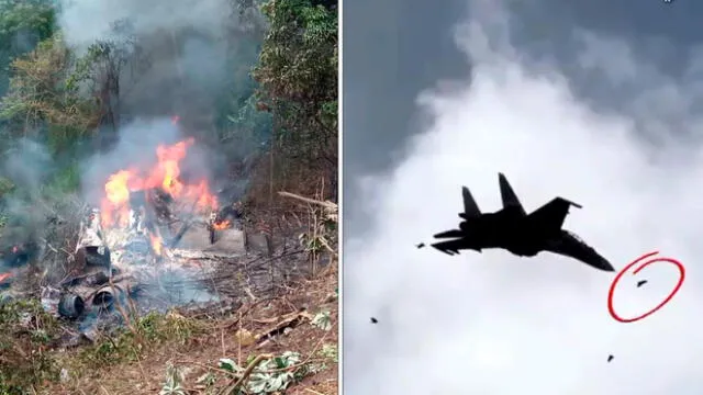 La ingreso del ave al motor sería la posible causa del accidente del avión de la milicia. Foto: composición LR/El País Cali/Venezuela News