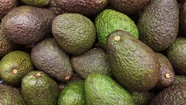 Palta Hass. De enero a septiembre es cuando se realizan el 99% de los envíos, según ProHass. Foto: difusión