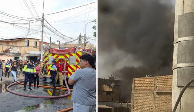 Se reportó la muerte de 7 perros que no pudieron escapar a tiempo y fueron alcanzados por el fuego. Foto: composición LR /captura: Bella Alvites -LR