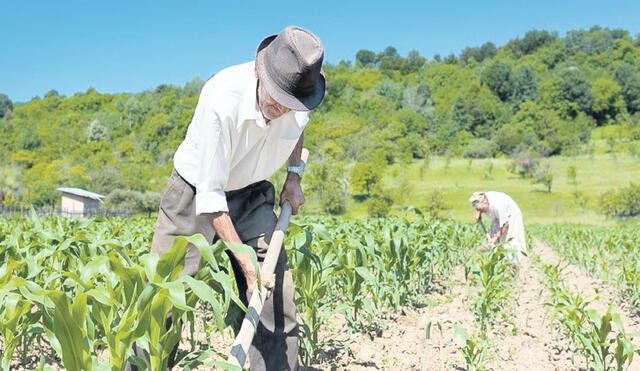 Panorama. En condiciones climáticas “normales”, Latinoamérica “tiene potencial para suplir las brechas” de producción generadas por la invasión a Ucrania. Foto: difusión