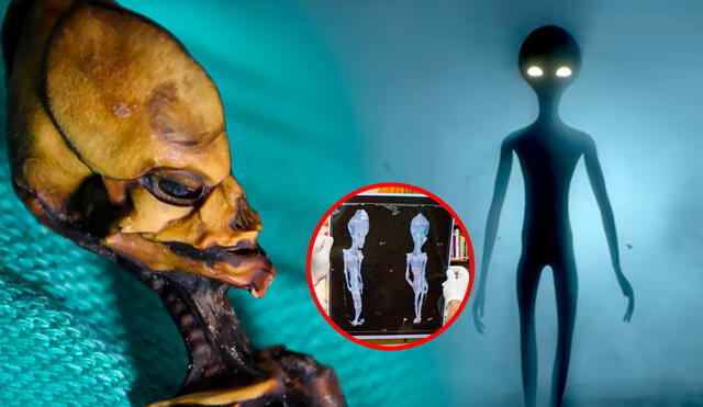 La 'momia extraterrestre' de Atacama fue vendida en 2012 a un español y ha sido objeto de varios estudios. Foto: composición LR/Freepik/Emery Smith