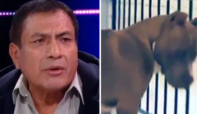 Gilberto Luyo pide ayuda para su hermano, quien fue atacado por perros. Foto: composición La República/capturas ATV - Video: ATV