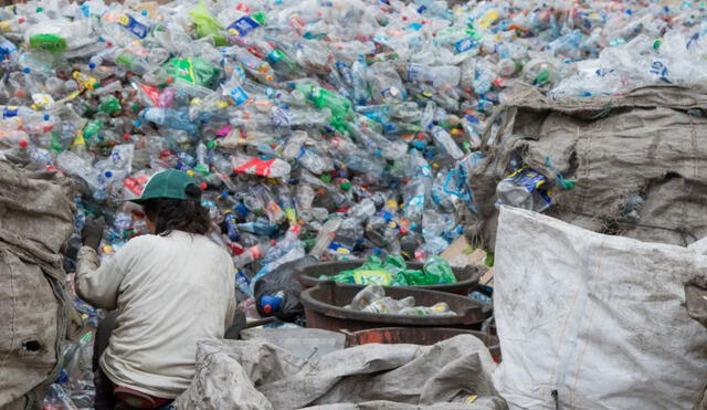 Incentivo de S/900 se entregará por única vez a los recicladores. Foto: Andina