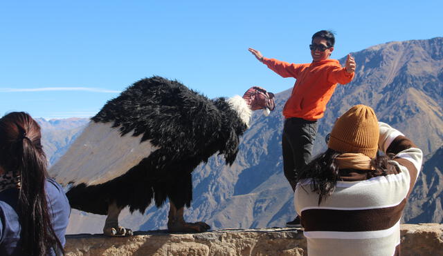 Arequipa y su cañón del Colca es un gran atractivo. Foto: Rosario Ticona/LR