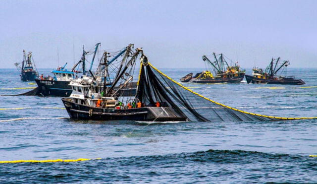 La cancelación de la primera temporada de pesca de anchoveta habría afectado al PBI de mayo. Foto: Produce
