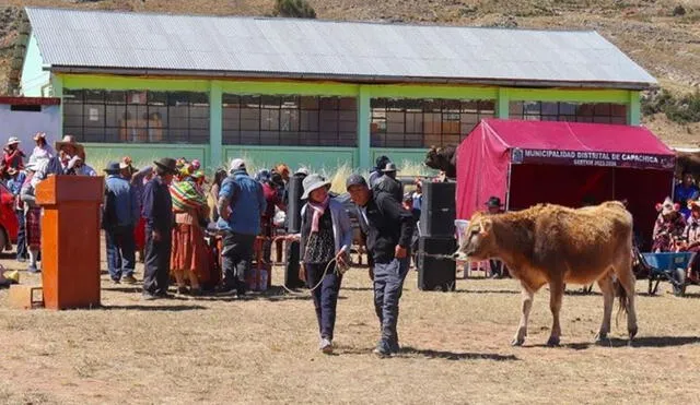 Ganaderos evalúan medidas a tomar para afronar crisis a consecuencia de la falta de lluvias en el altiplano. Foto: Puno Renace