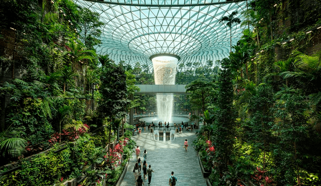 El Aeropuerto Changi, de Singapur, tiene una cascada de 18 pies de altura. Foto: National Geographic