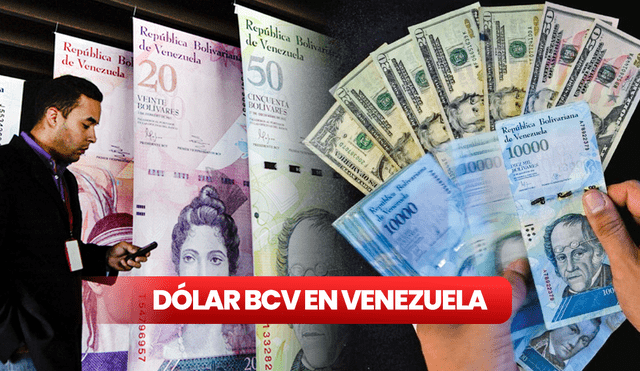 Dólar BCV en Venezuela, HOY miércoles 19 de julio de 2023. Foto: composición LR/Jazmín Ceras/AFP