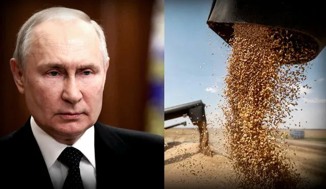El pacto con Rusia había permitido la exportación de más de 32 millones de toneladas de alimentos desde Ucrania. Foto: composición LR/Bloomberg
