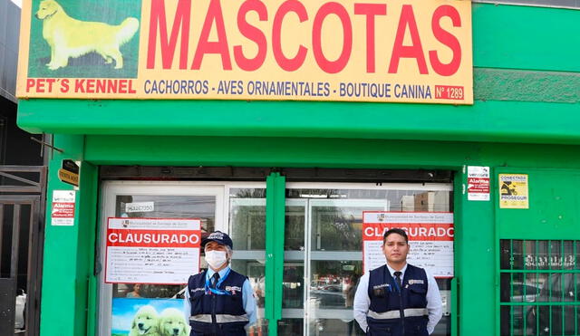 Las mascotas no contaban con rutinas de limpieza. Foto: Municipalidad de Surco