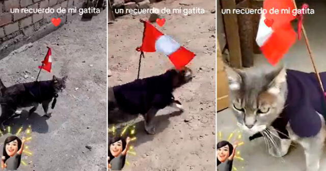 Gatita es tendencia en TikTok. Foto: composición LR/ TikTok/@sonniacart