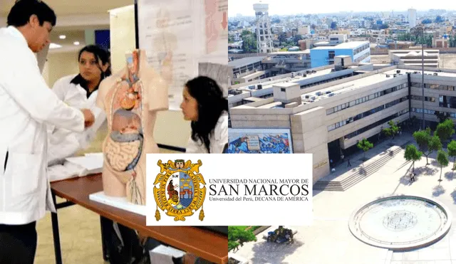 Conoce cuánto tiempo en promedio se demora un estudiante en ingresar a la carrera de Medicina en San Marcos. Foto: composición LR/Estudia Perú/UNMSM