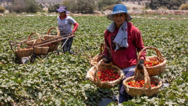 Ley busca establecer paridad entre hombres y mujeres dentro del consejo de administración. Foto: Gob.pe