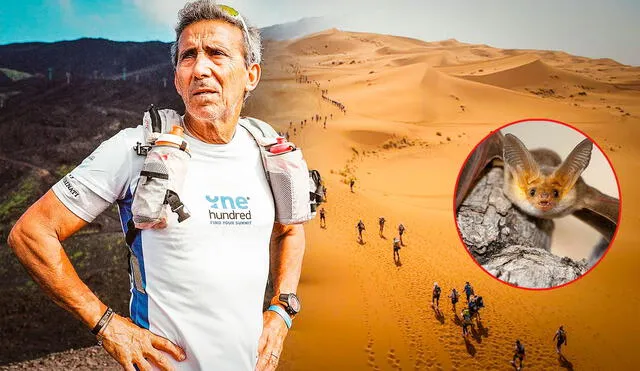 Mauro Prosperi sobrevivió nueve días en el desierto gracias a la sangre de murciélagos. Foto: composición LR/The Guardian/Facebook/Marathon des Sables/ABC
