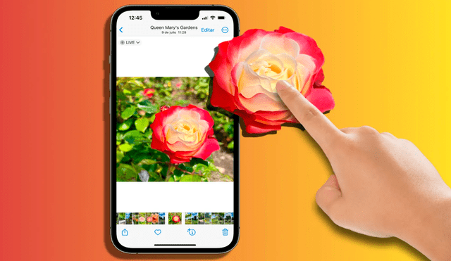 Eliminar el fondo de una foto en nuestro iPhone es posible gracias a iOS 16. Foto: Hoy en Apple