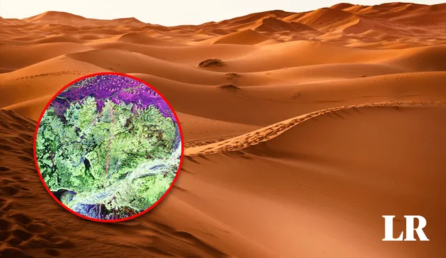 Un extenso desierto tropical en la Tierra. Foto: composición de La República/Pexels/NASA