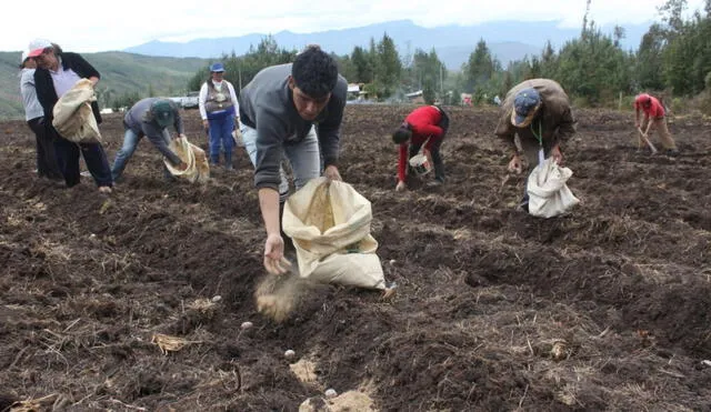 El 91,9% de los productores que poseen título de propiedad lograron acceder a un tipo de crédito. Foto: Andina